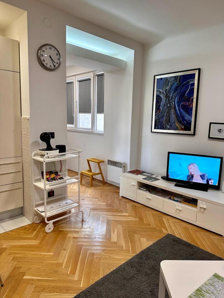 Apartments Mango Downtown Ζάγκρεμπ Εξωτερικό φωτογραφία